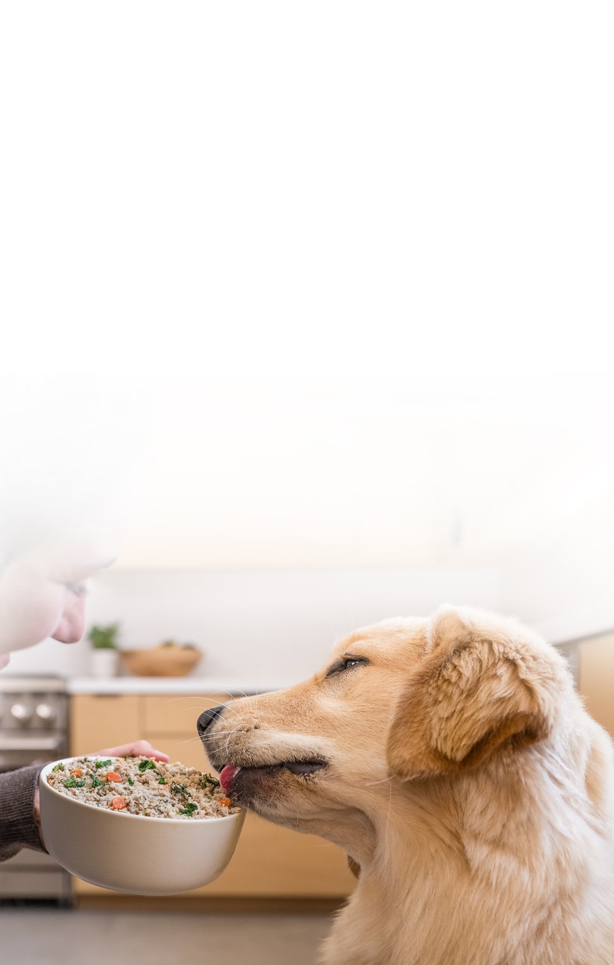picture of a man holding a dog and bowl of food